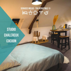 Le Nid • Cocoon • Netflix • Proche Centre-Ville